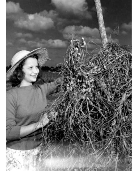 teens with big tits pictures|Teen dreams: 30 vintage pics of wholesome Florida teenagers